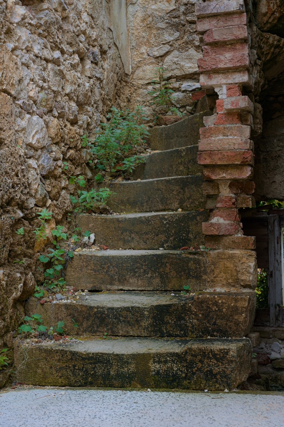 صورة العنصر