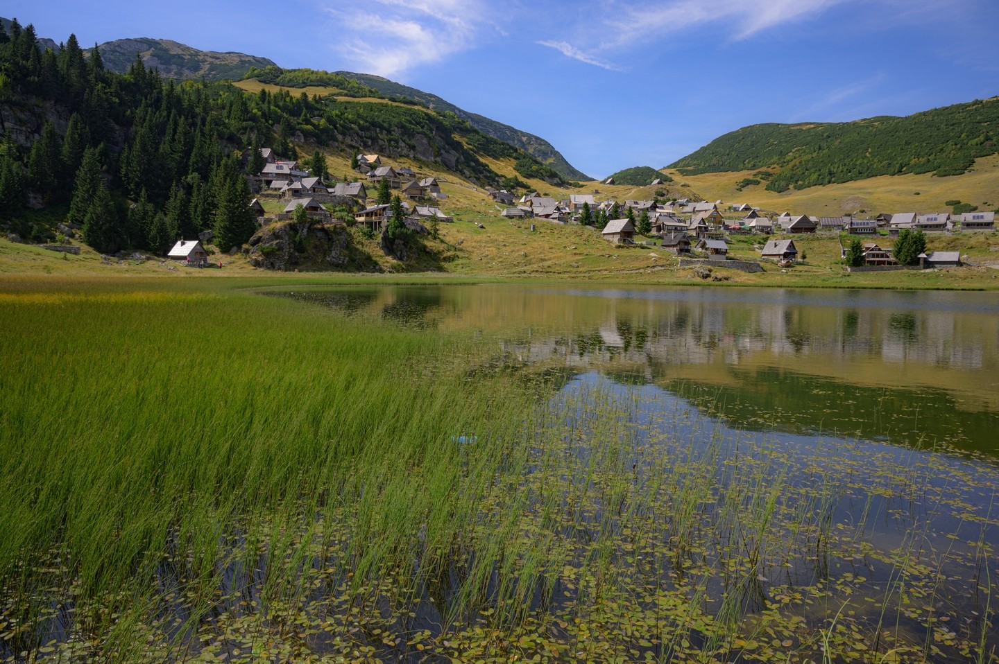 صورة العنصر