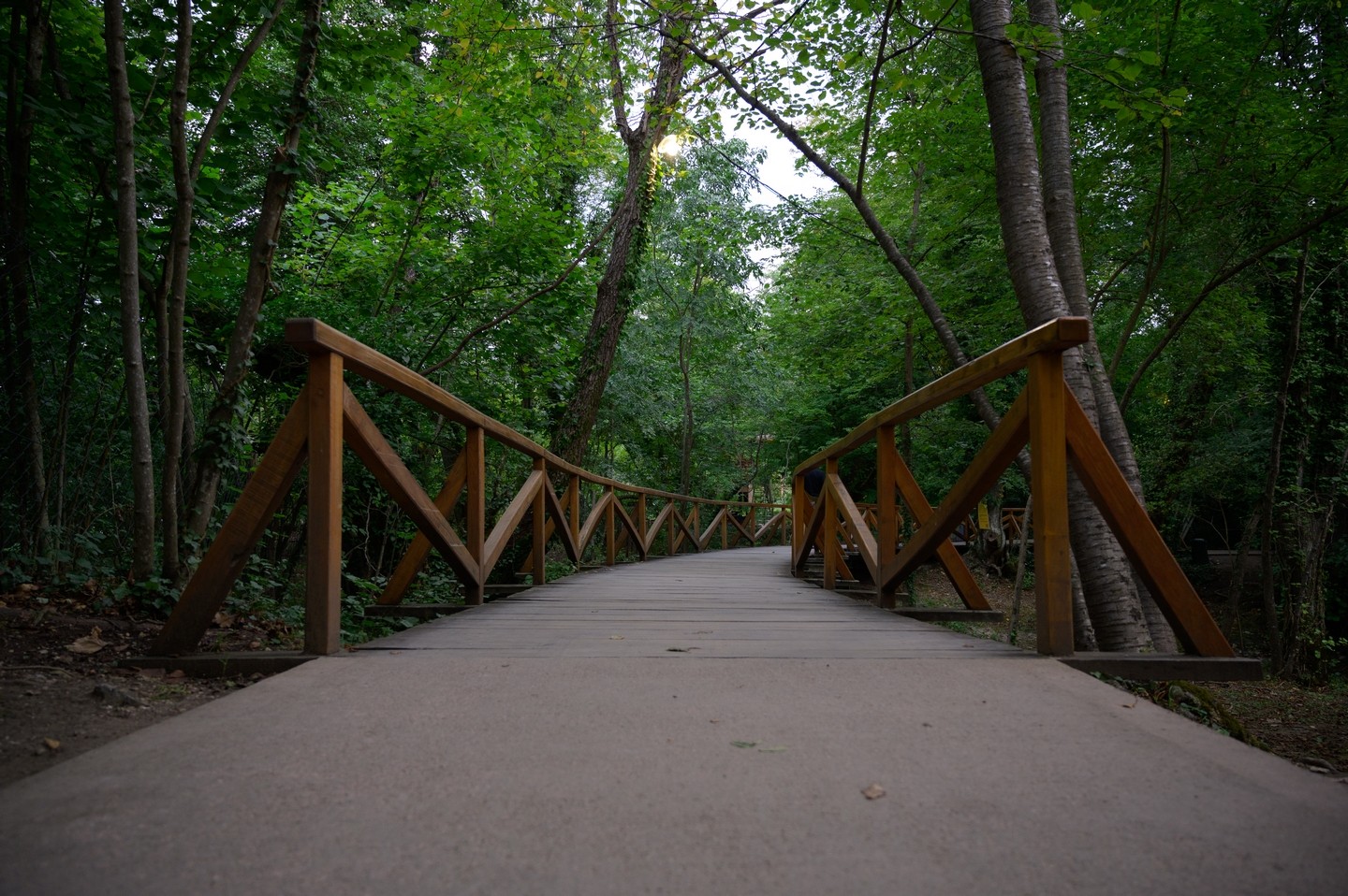 صورة العنصر