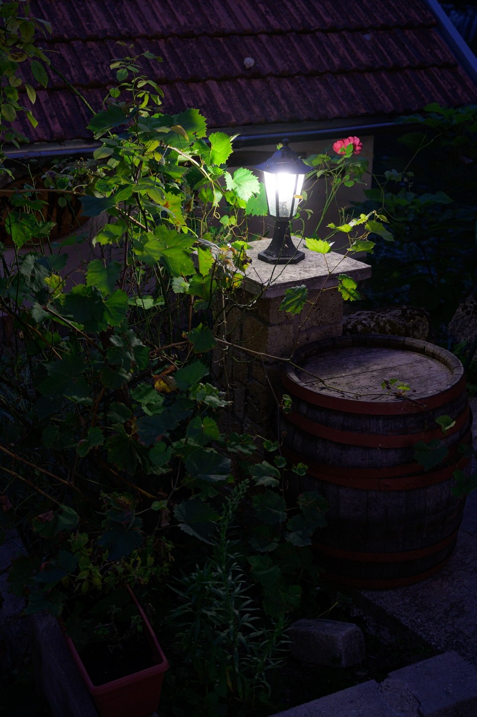 صورة العنصر