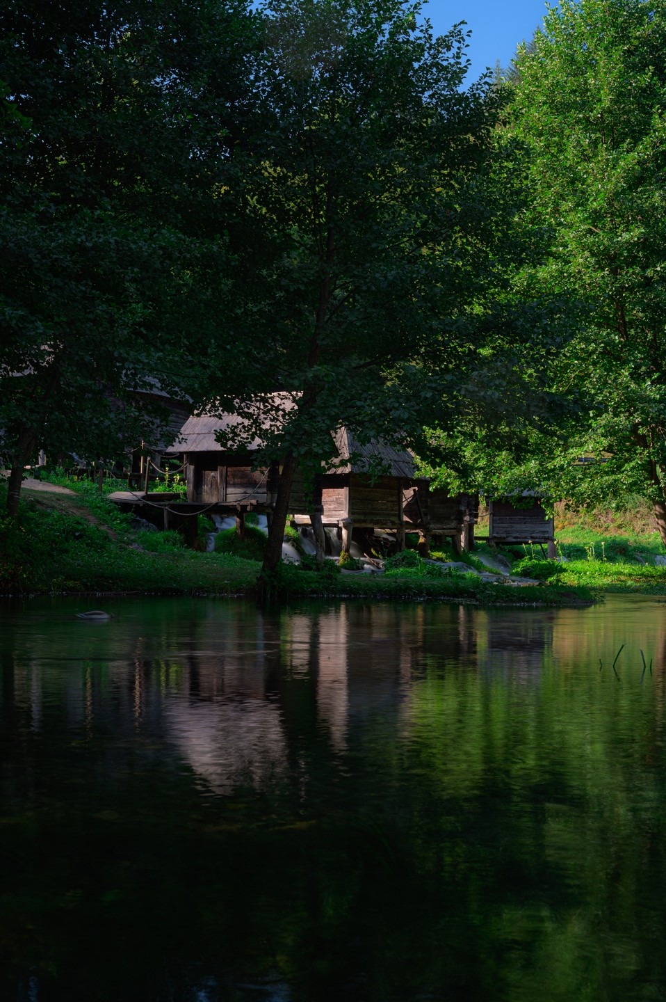 صورة العنصر