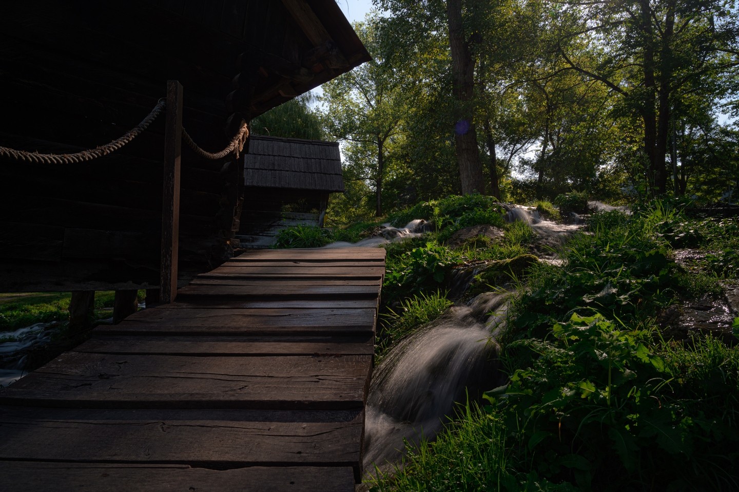 صورة العنصر