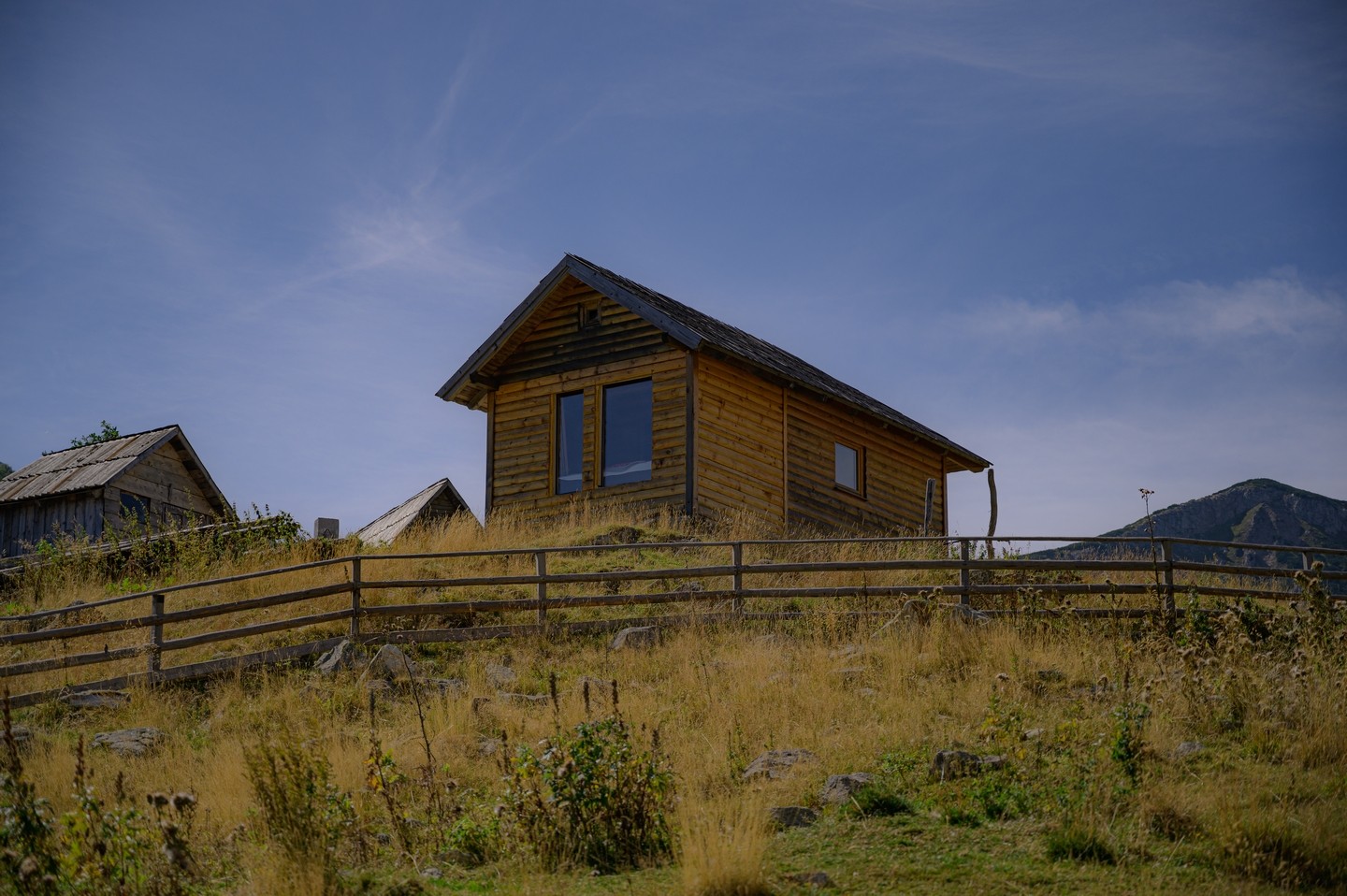 صورة العنصر