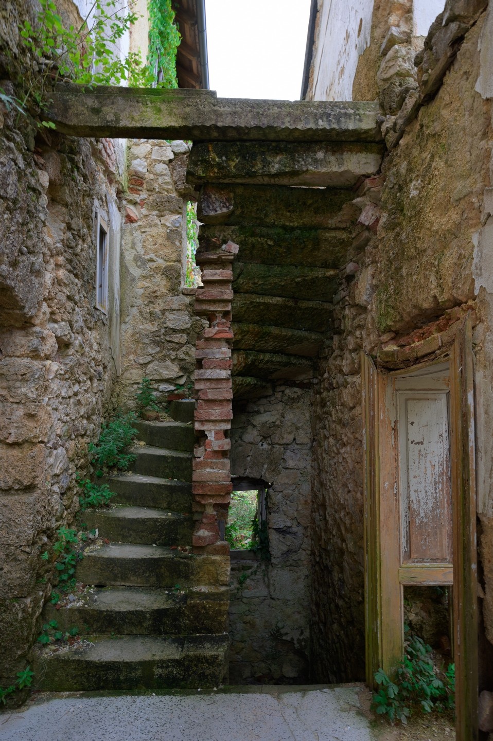 صورة العنصر