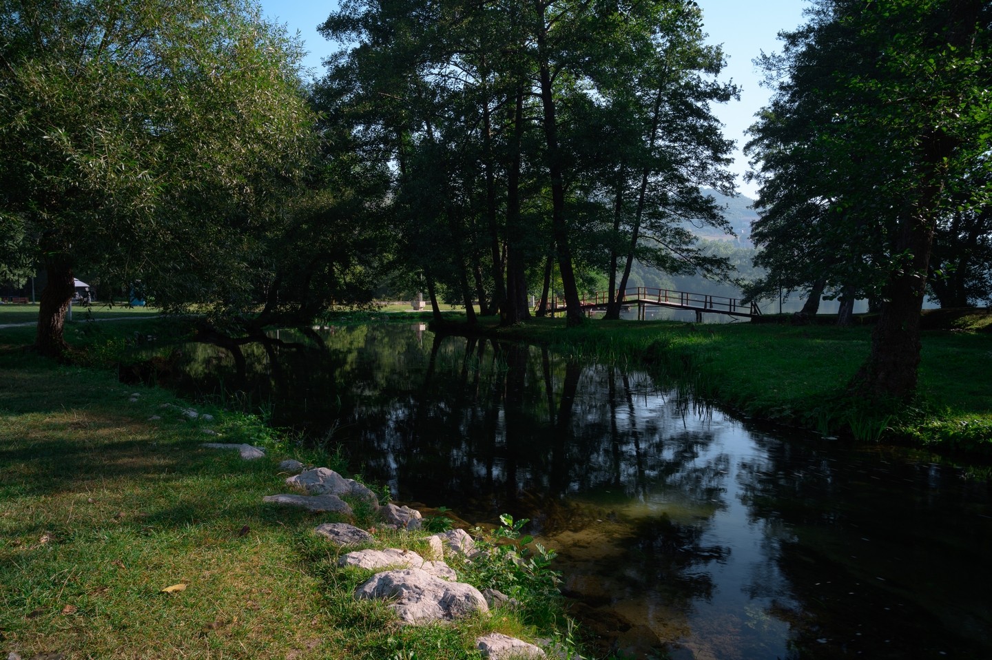 صورة العنصر