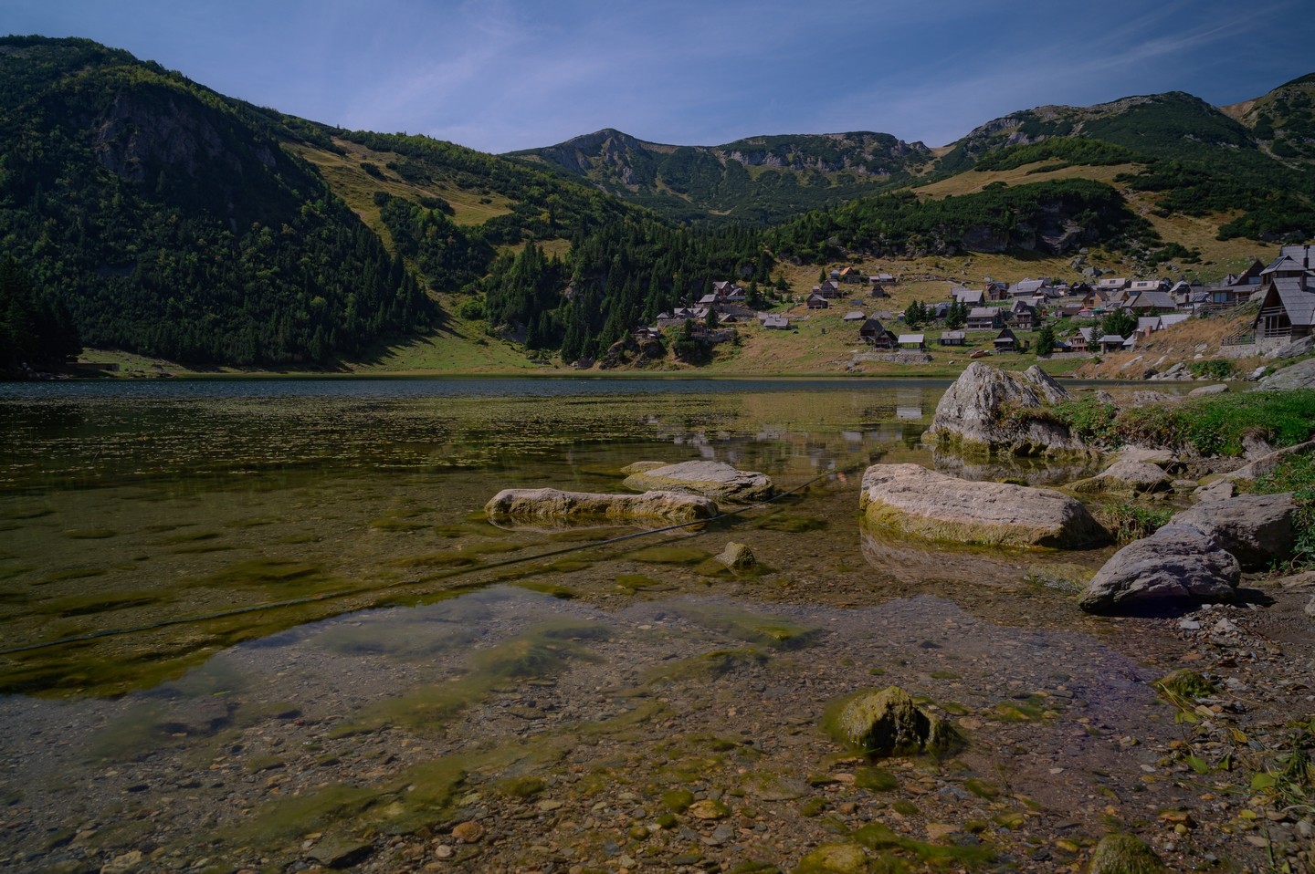 صورة العنصر