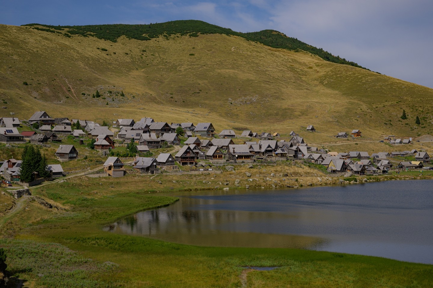 صورة العنصر