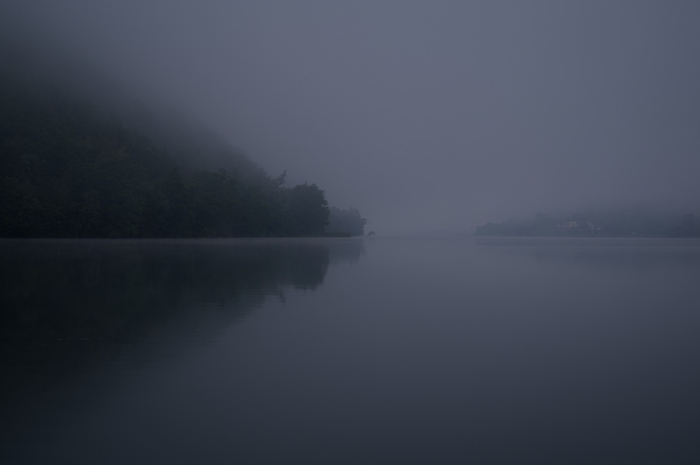 صورة العنصر