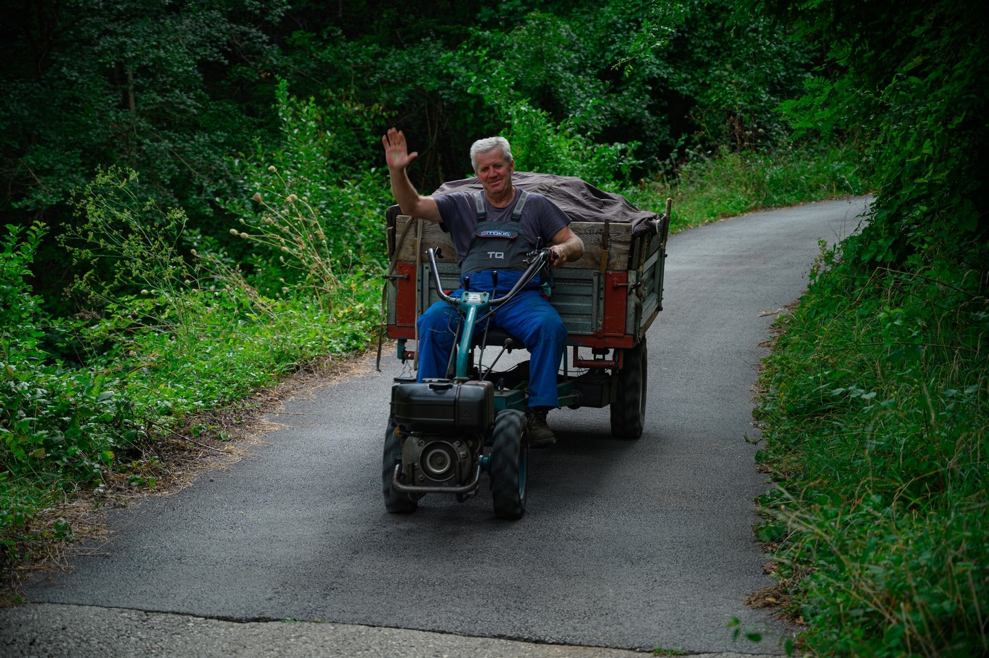 صورة العنصر