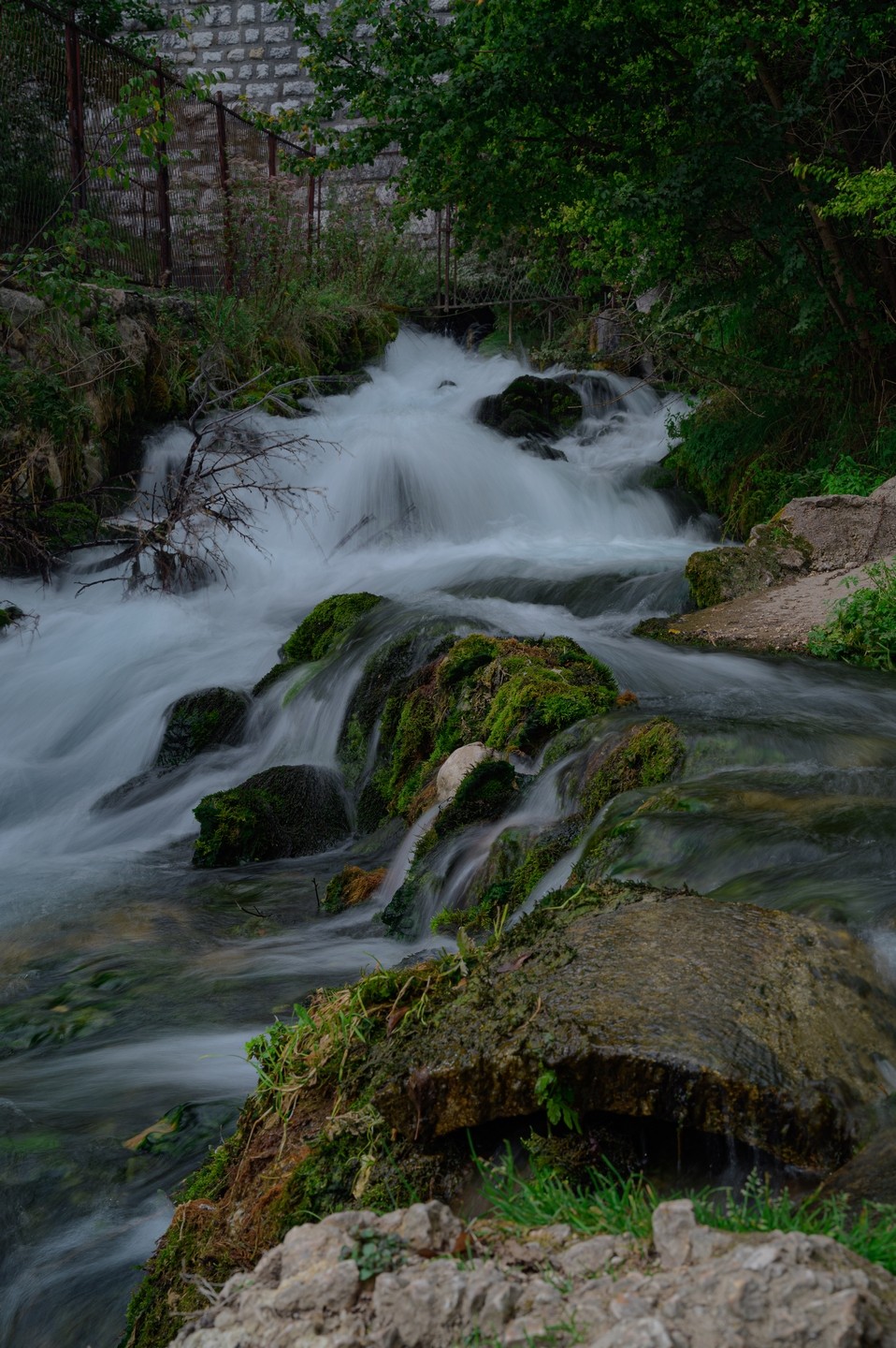 صورة العنصر