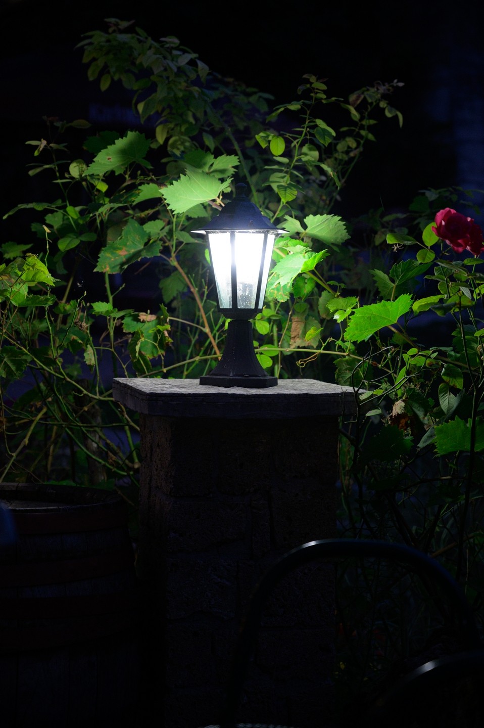 صورة العنصر