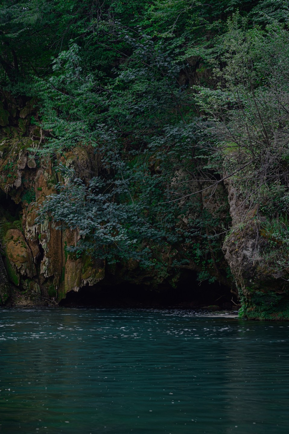 صورة العنصر