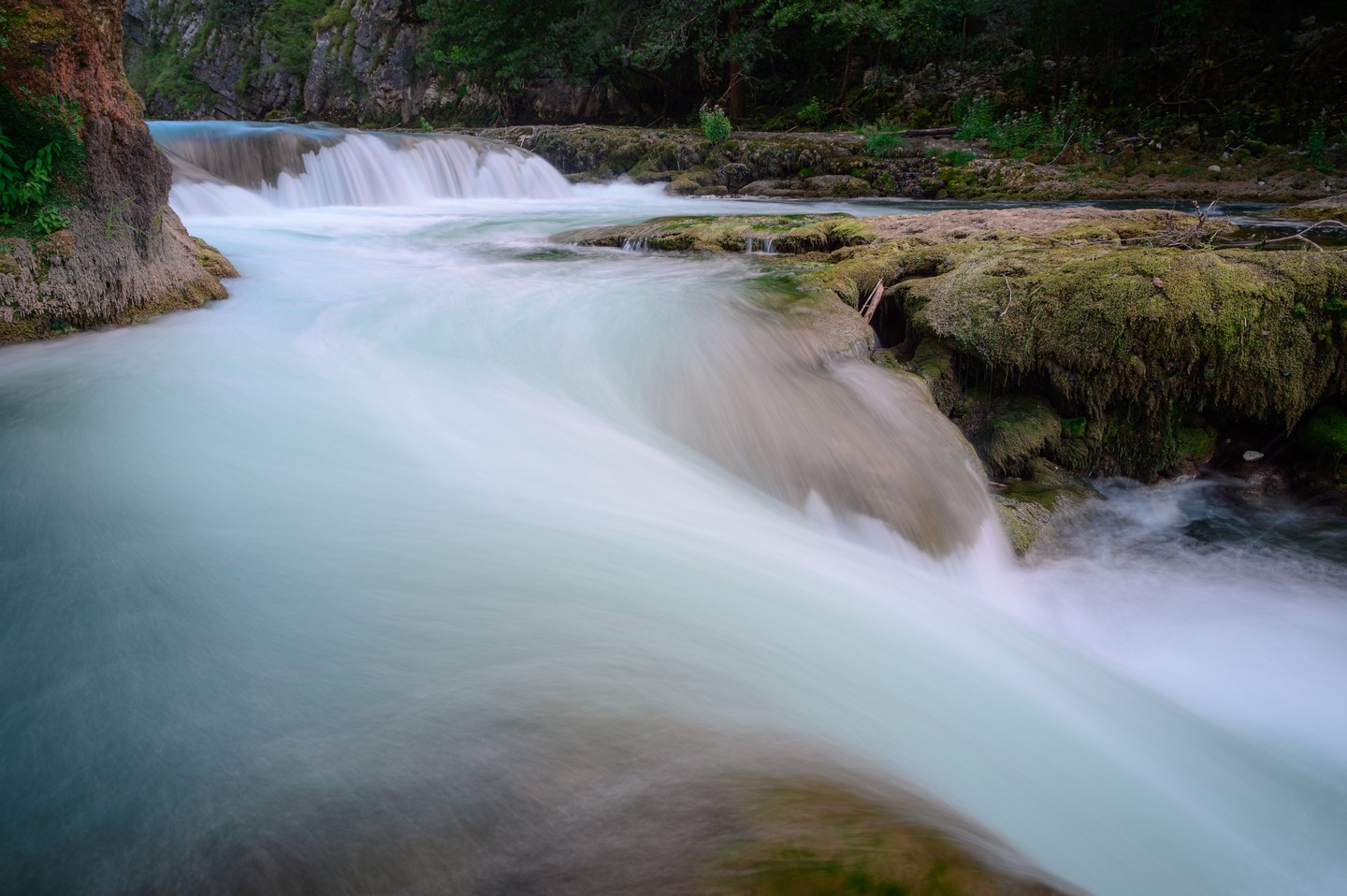 صورة العنصر