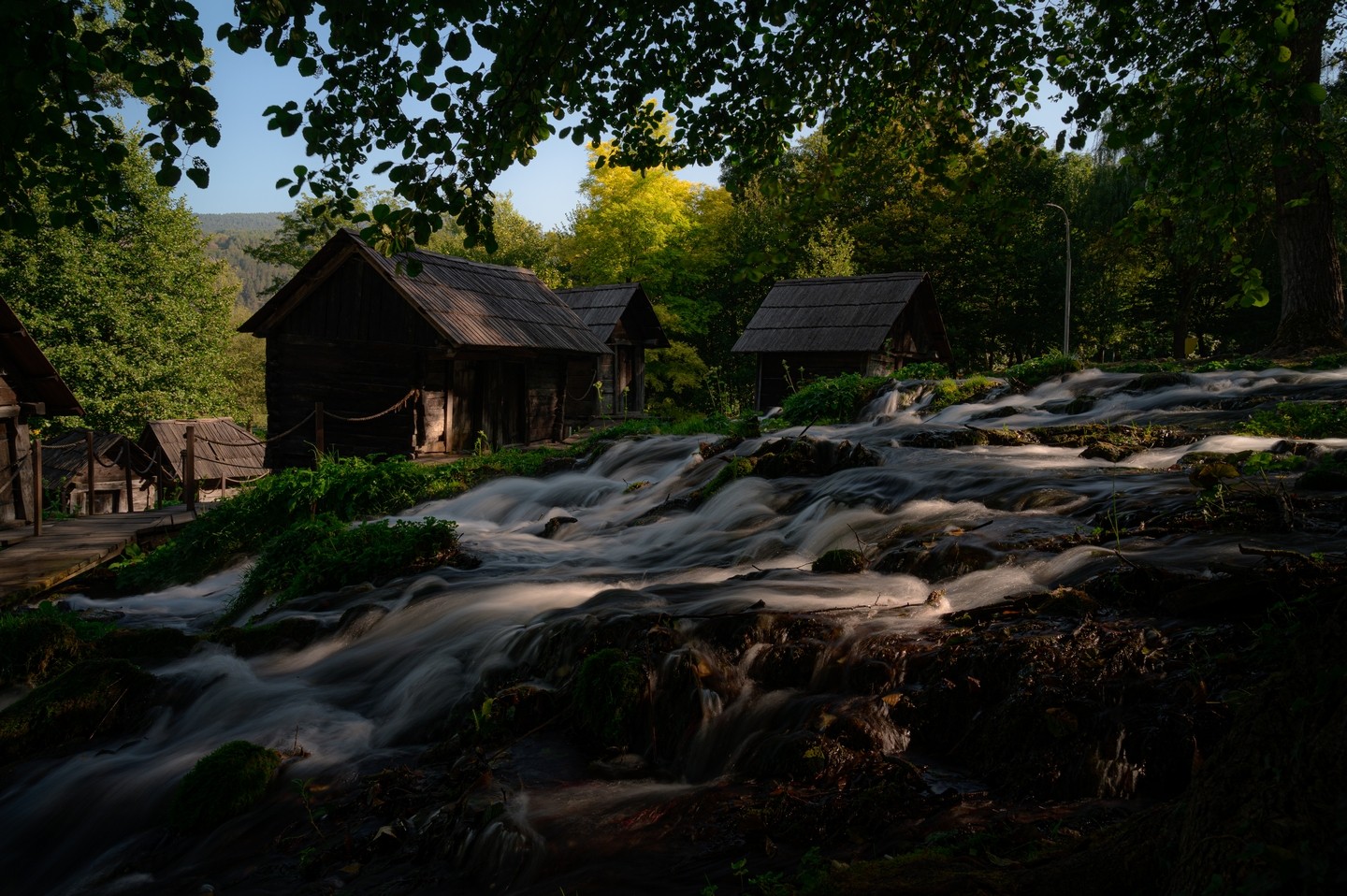 صورة العنصر