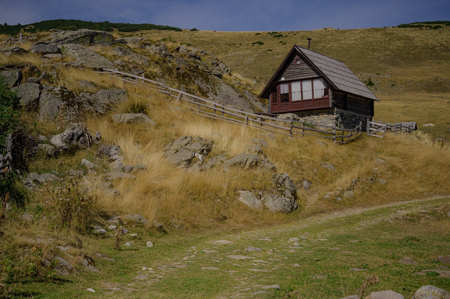 صورة العنصر