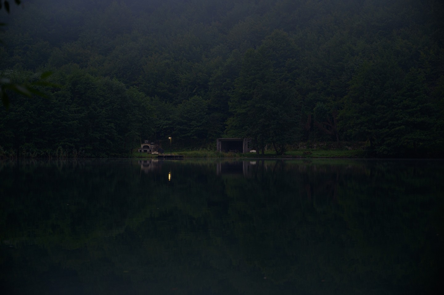 صورة العنصر