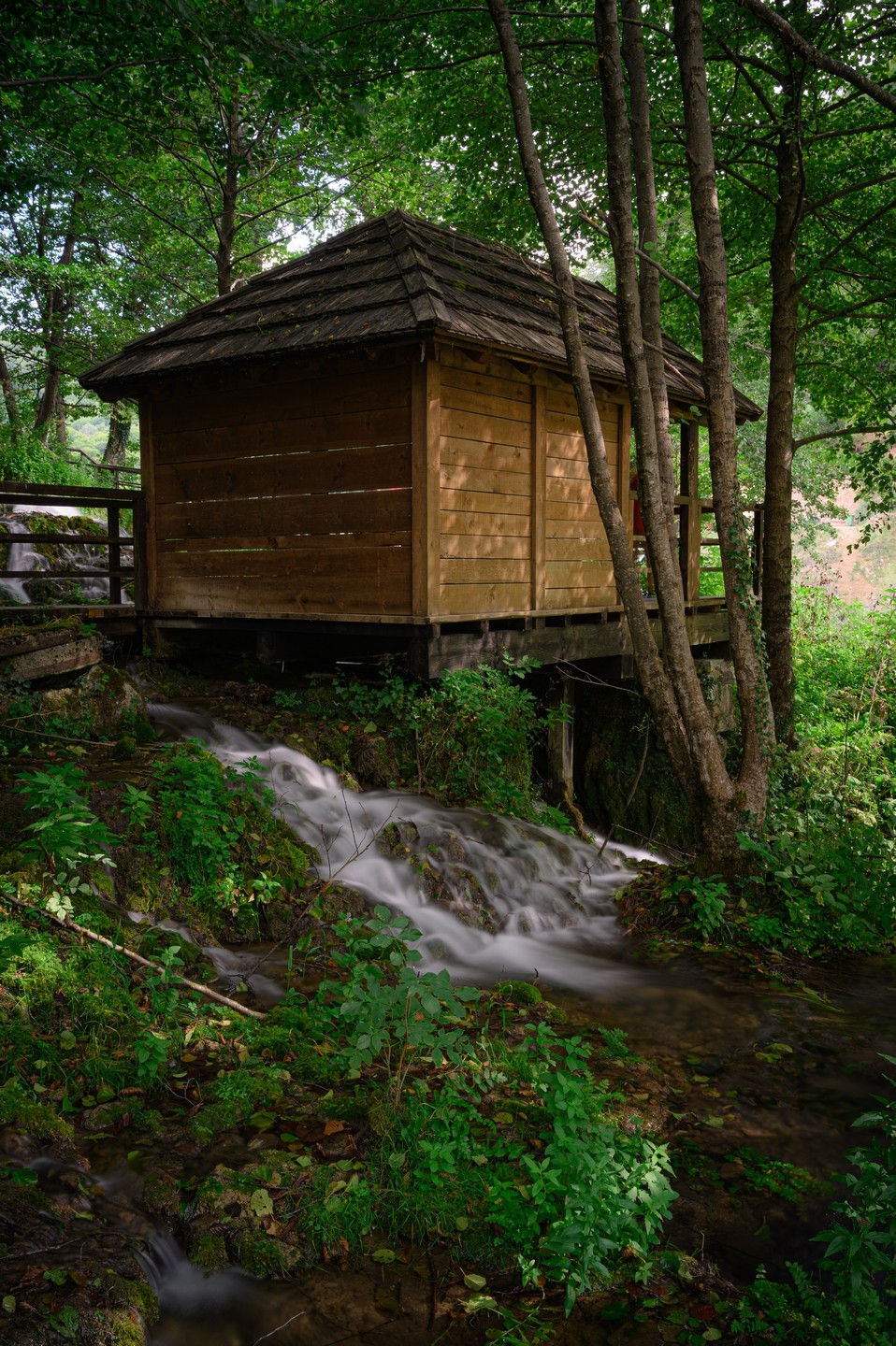 صورة العنصر