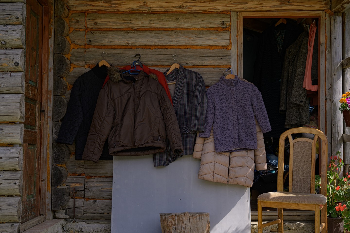 صورة العنصر