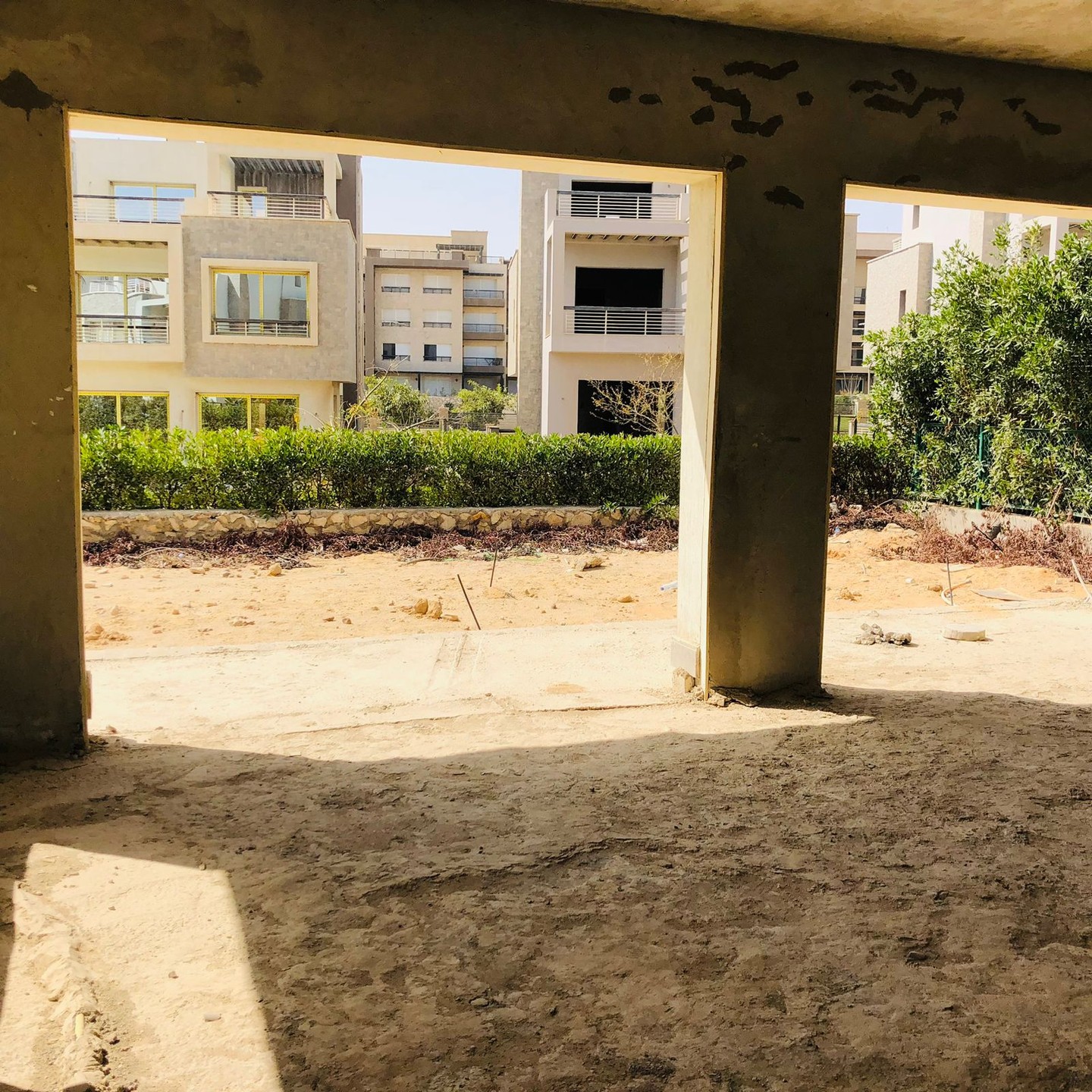 صورة القسم