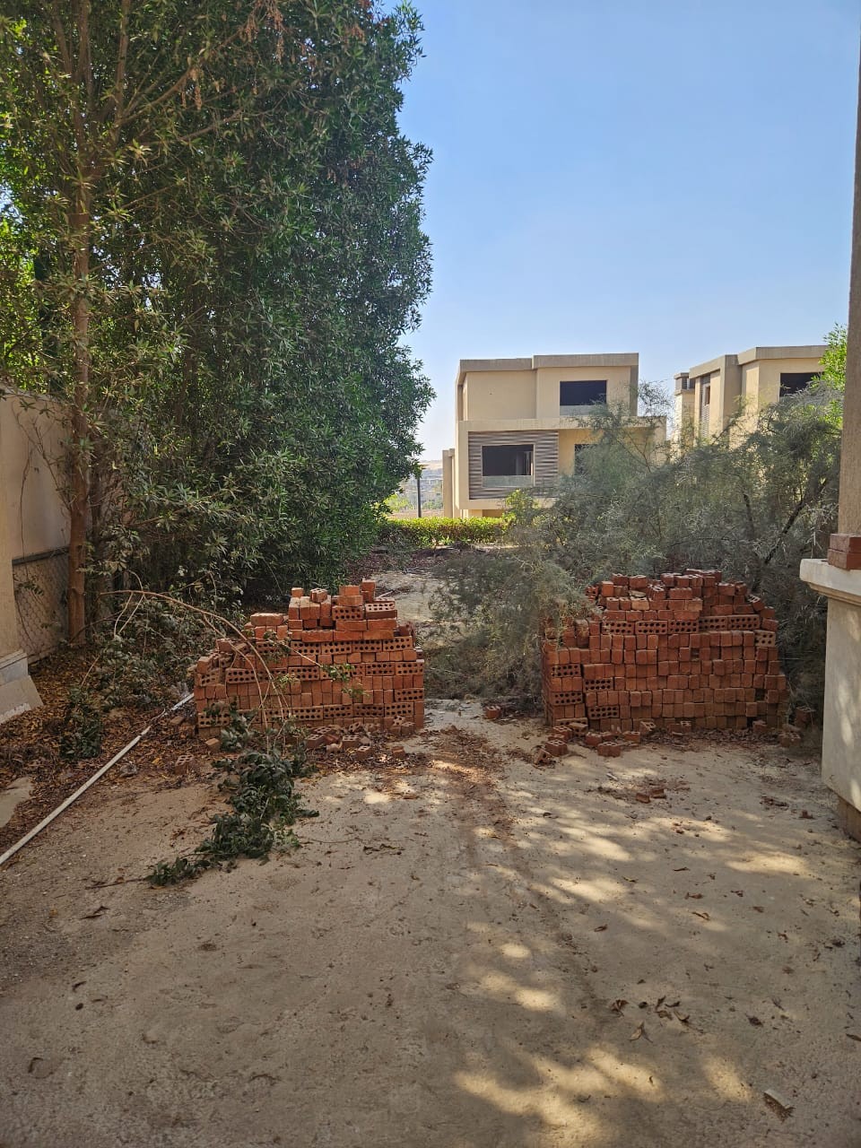 صورة القسم