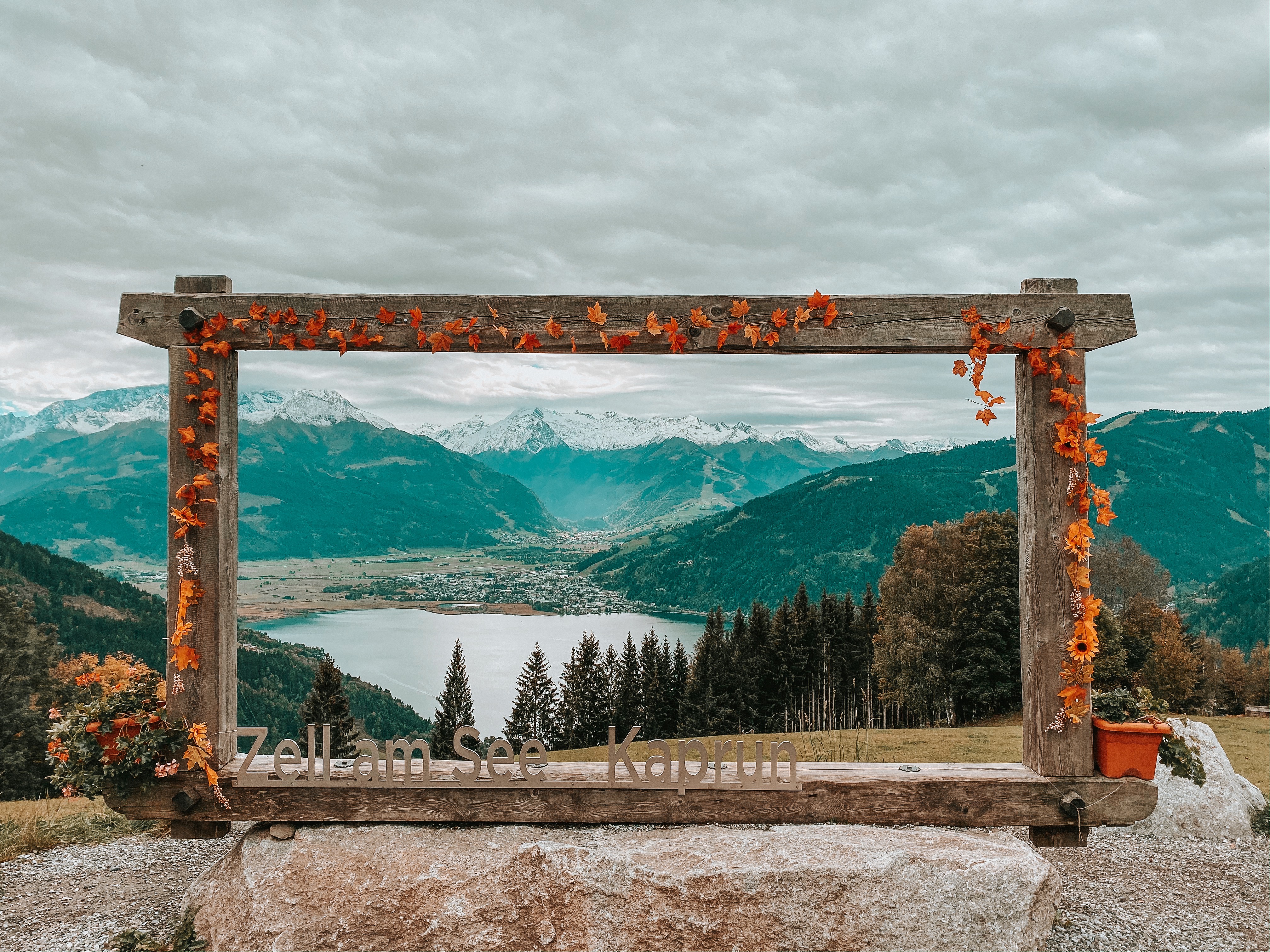 صورة العنصر