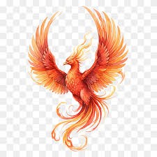 صورة العنصر