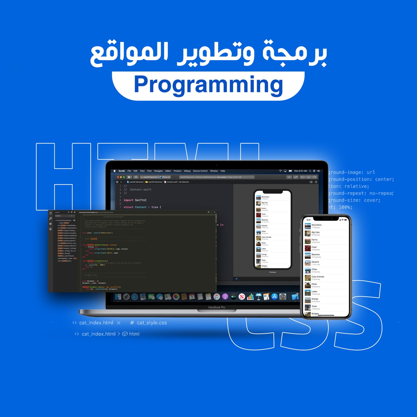 صورة العنصر