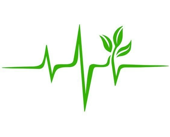 الصور والفيكتورز