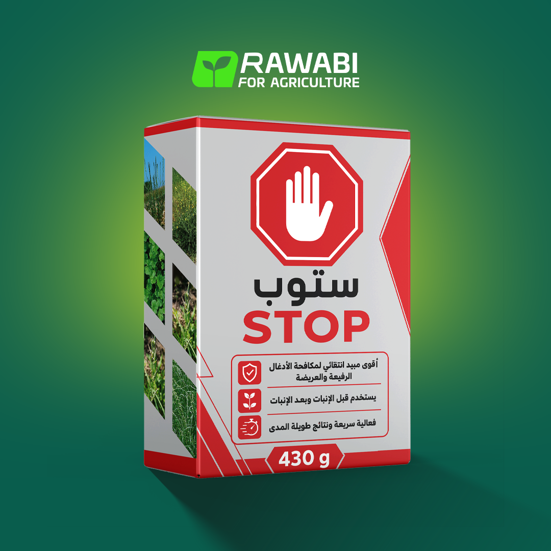 صورة العنصر