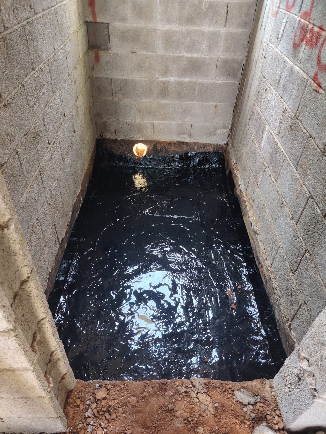 صورة العنصر