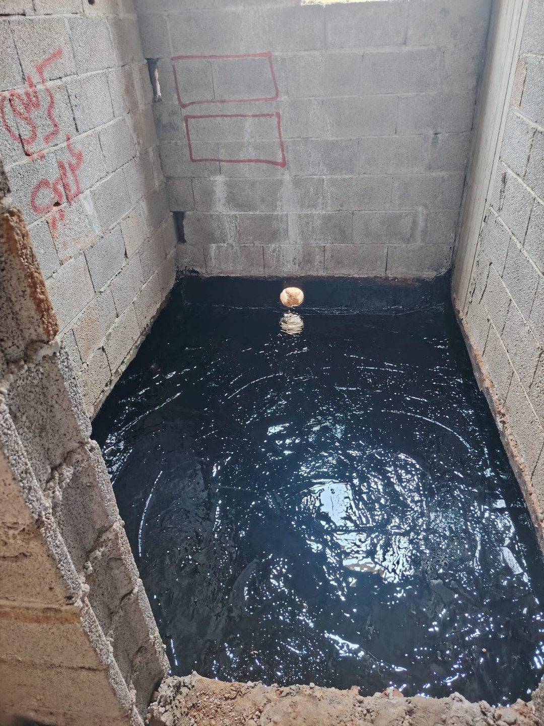 صورة العنصر