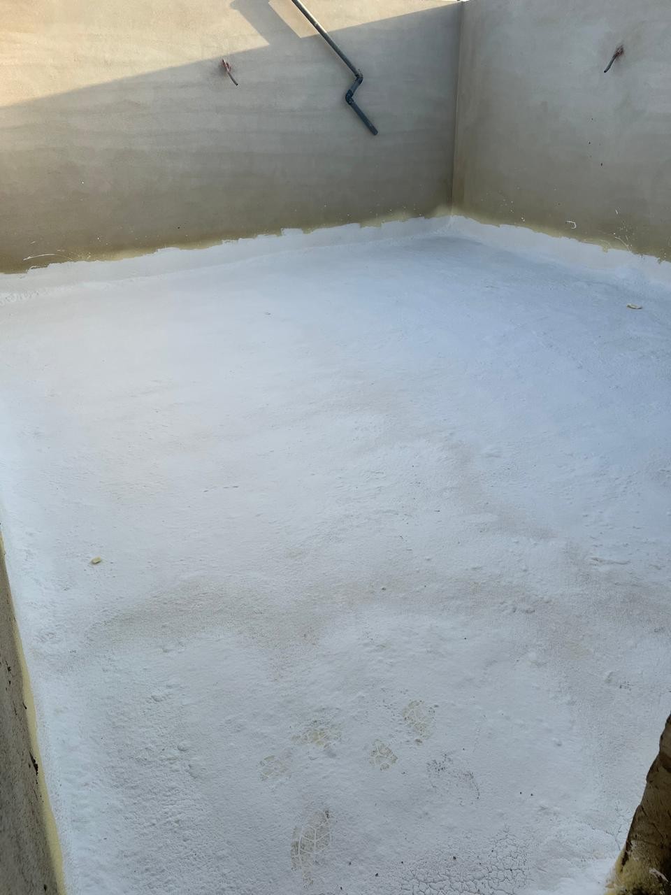 صورة العنصر