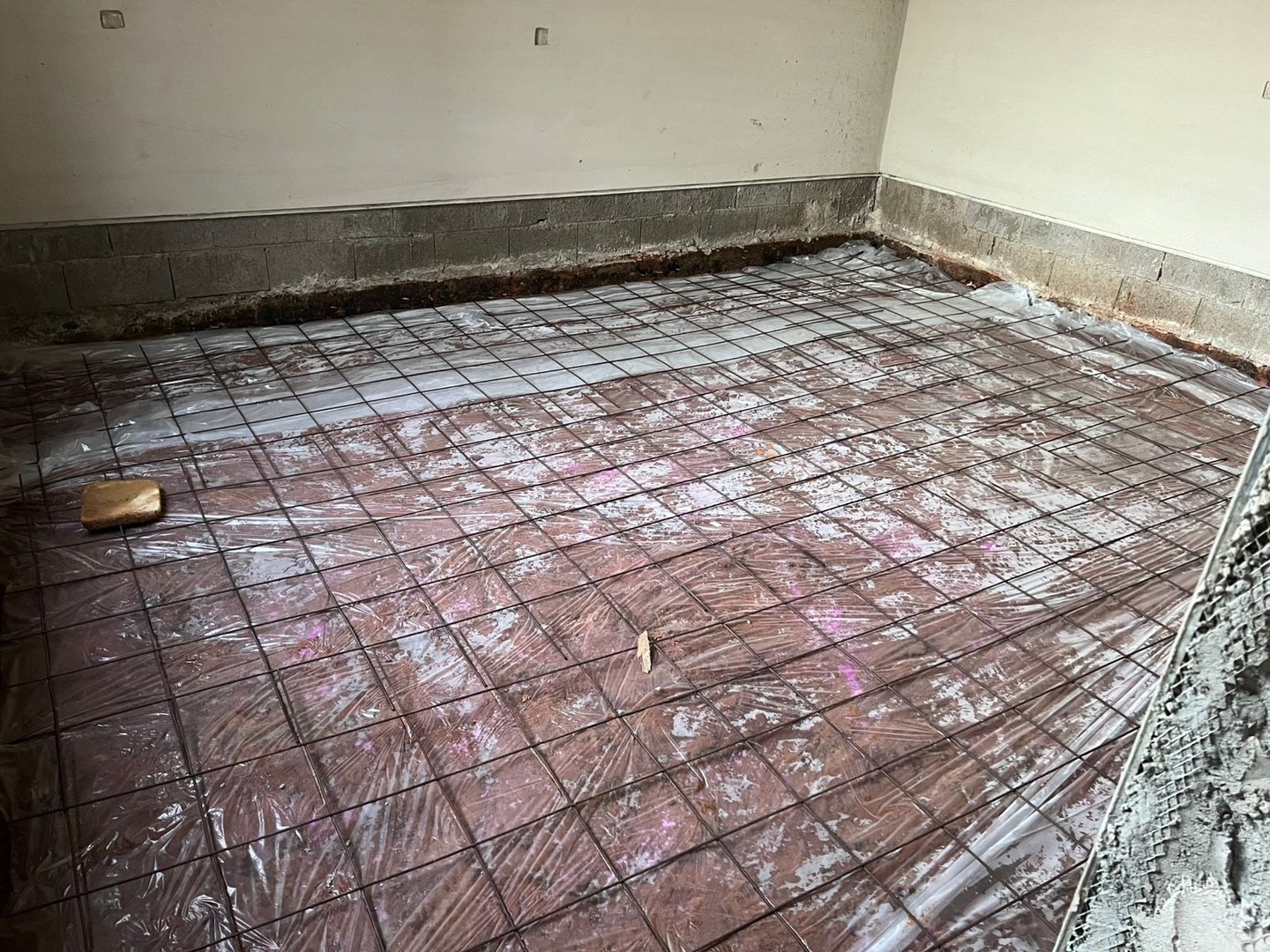 صورة العنصر