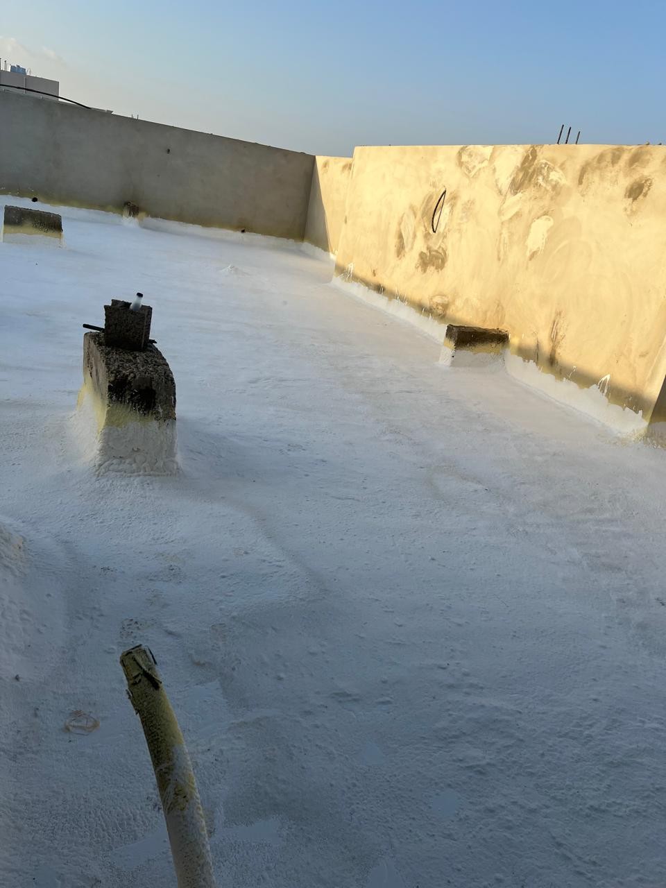 صورة العنصر