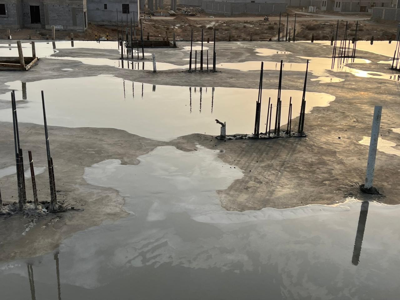 صورة العنصر