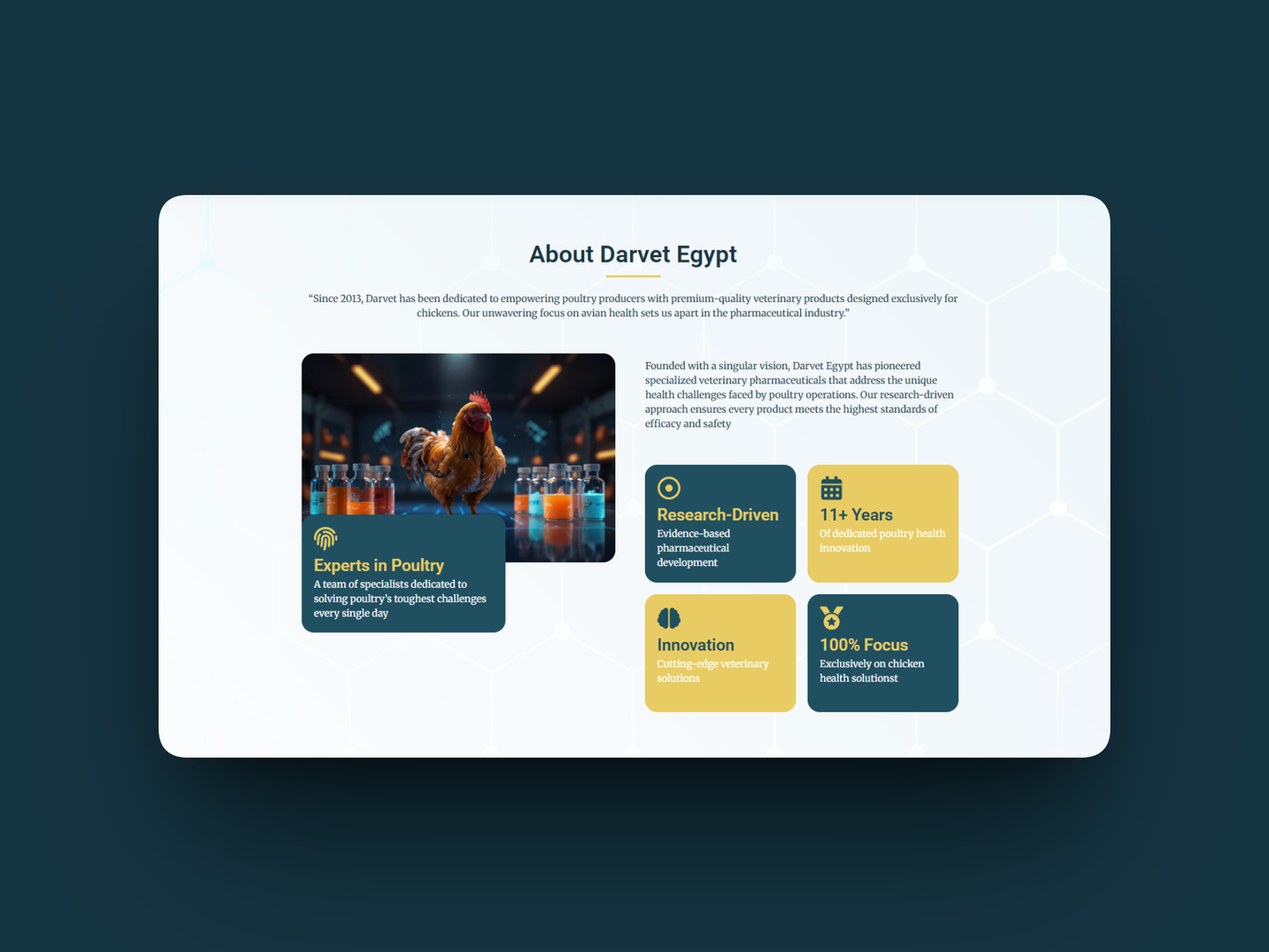 واجهة متجر إلكتروني