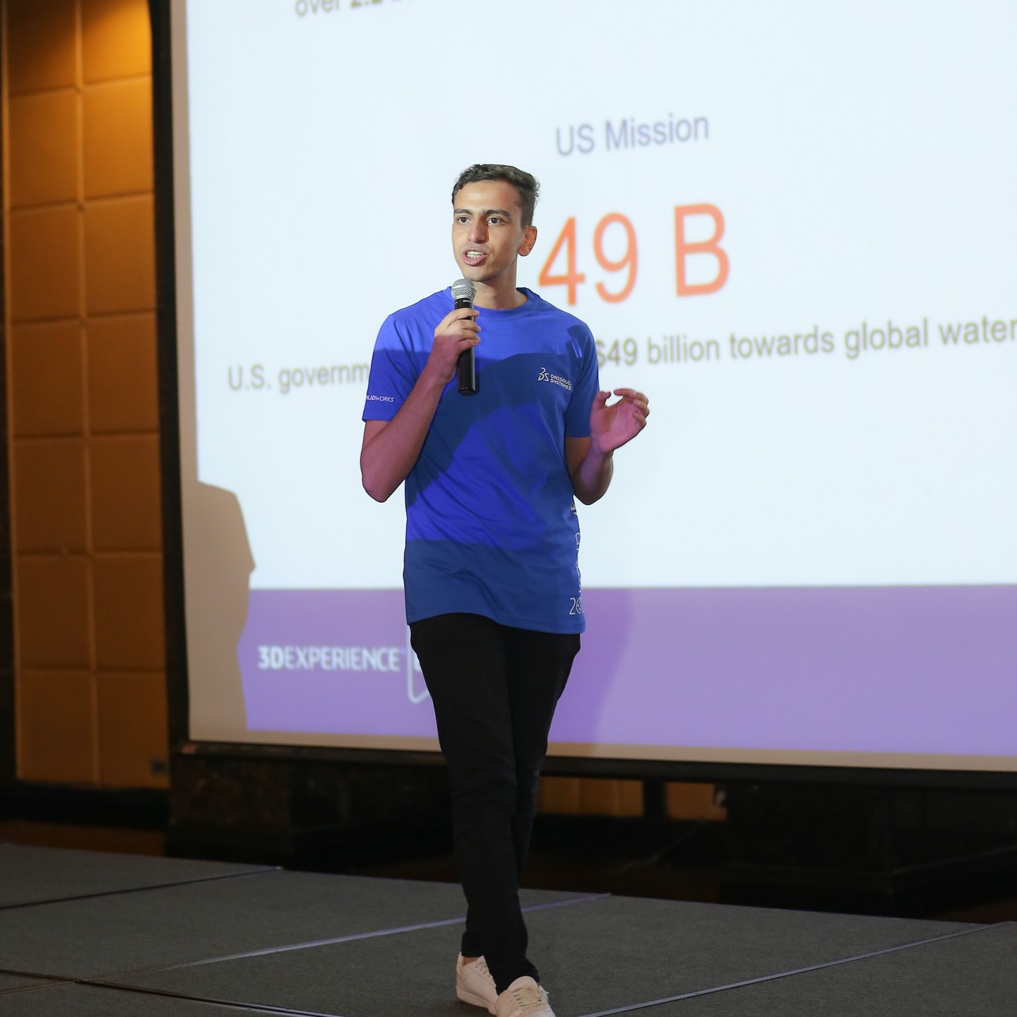 صورة العنصر