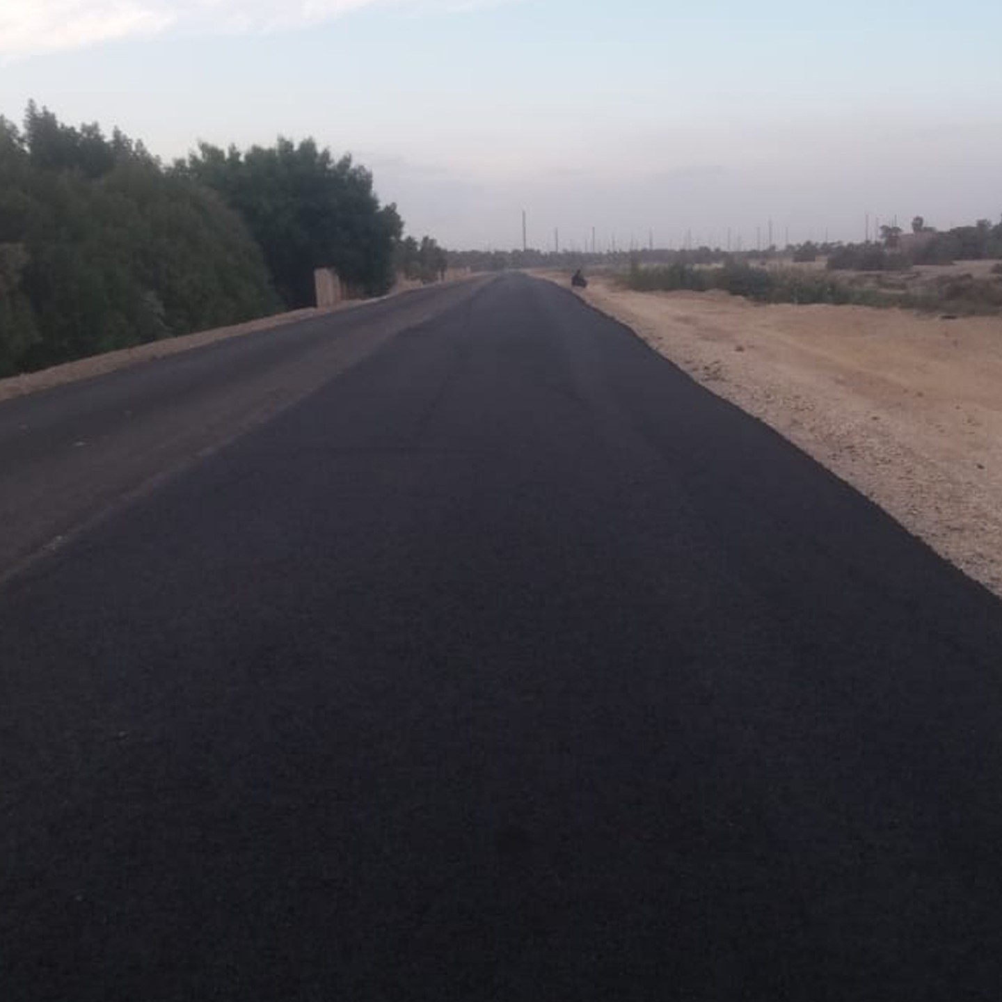 صورة العنصر