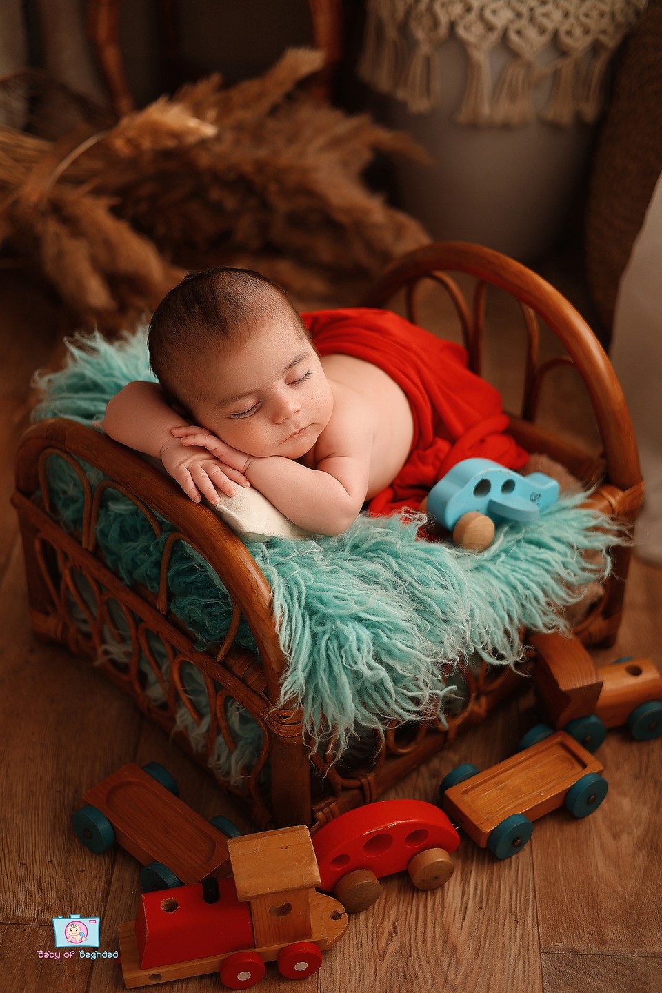 صورة العنصر