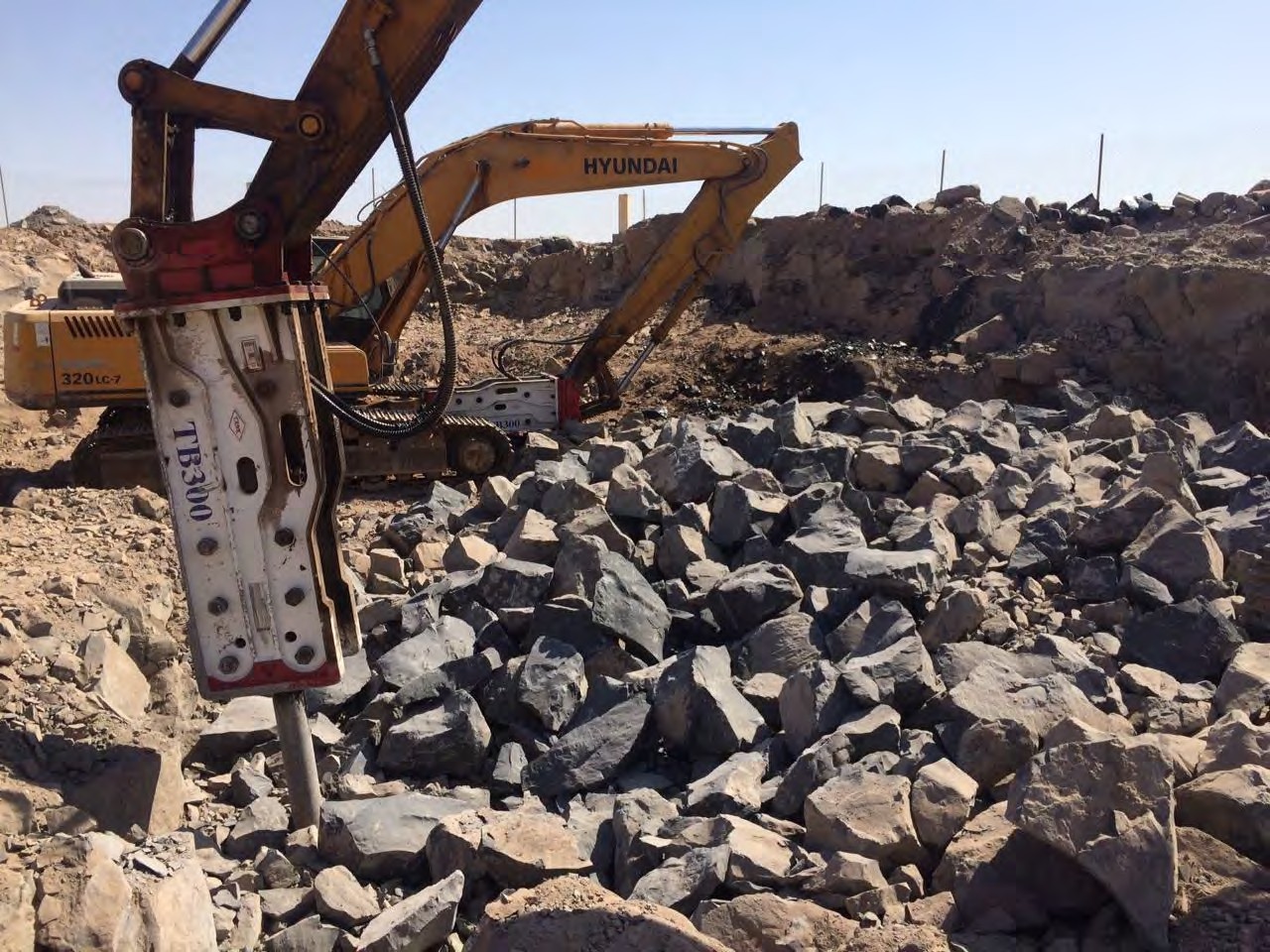 صورة المعرض