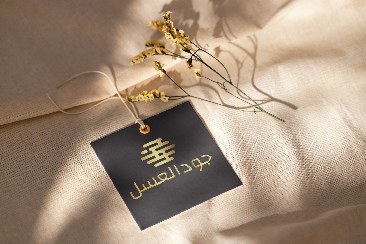 صورة المعرض