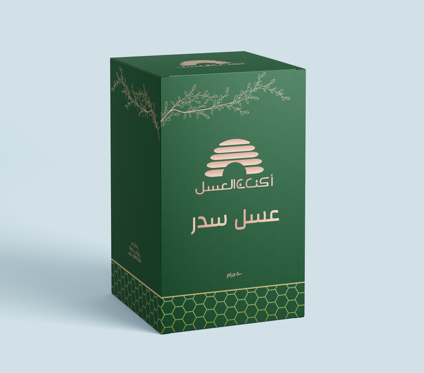 صورة المعرض