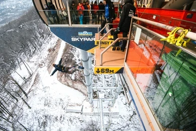 صورة العنصر