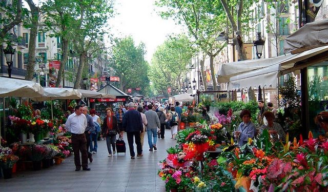 صورة العنصر