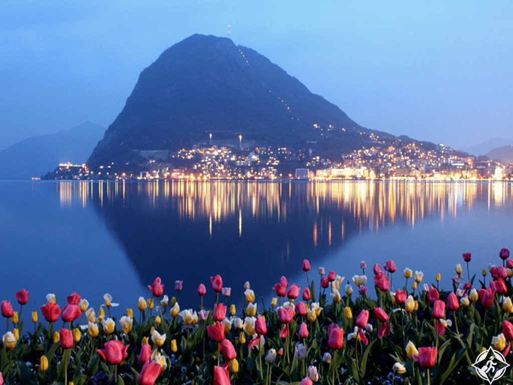 صورة العنصر