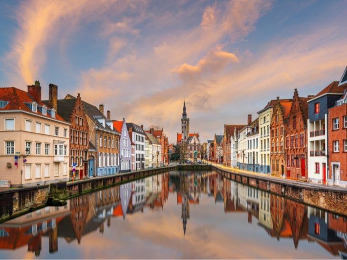 صورة العنصر