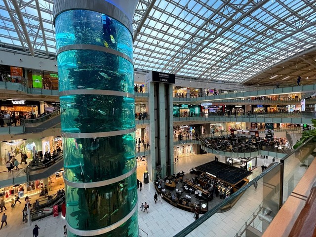 صورة العنصر