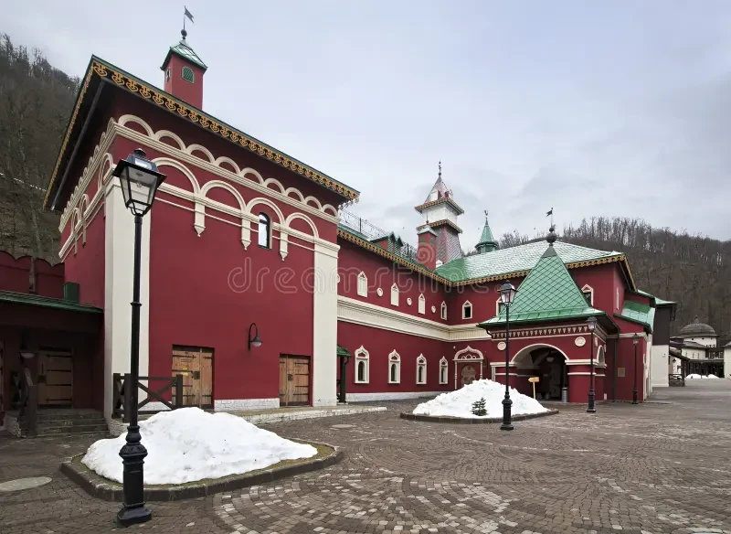 صورة العنصر