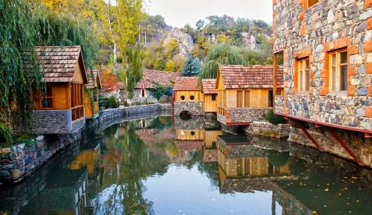 صورة العنصر