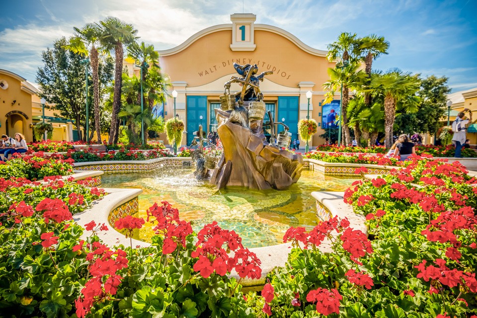 صورة العنصر